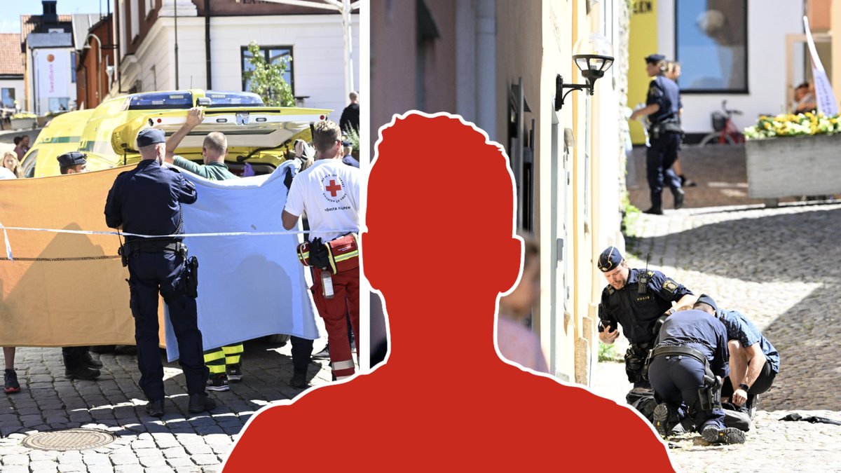 Theodor Engström, 33, åtalas efter dådet i Visby.